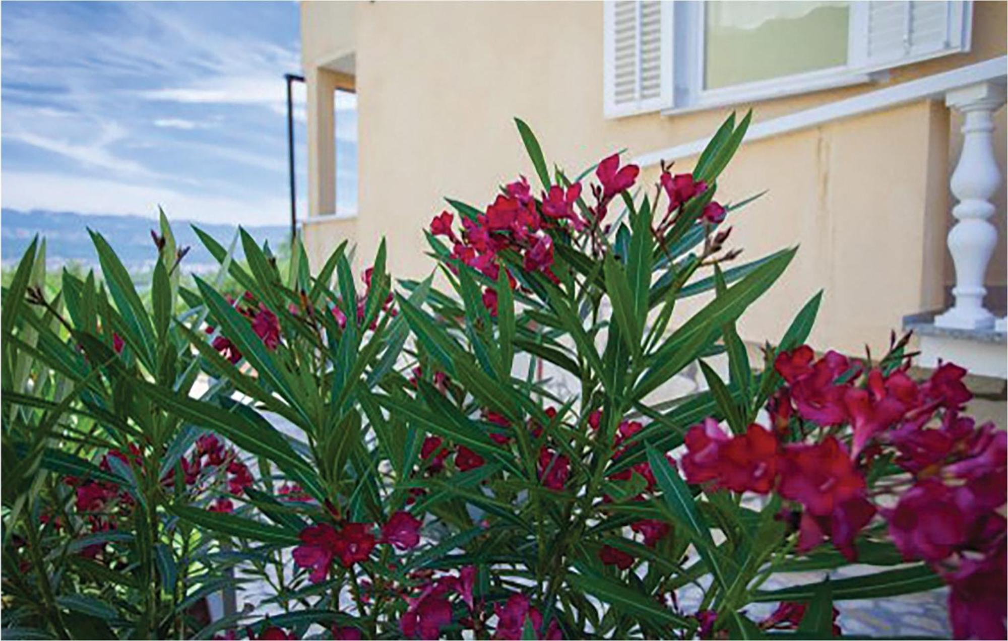 1 Bedroom Beautiful Apartment In Малинска Экстерьер фото